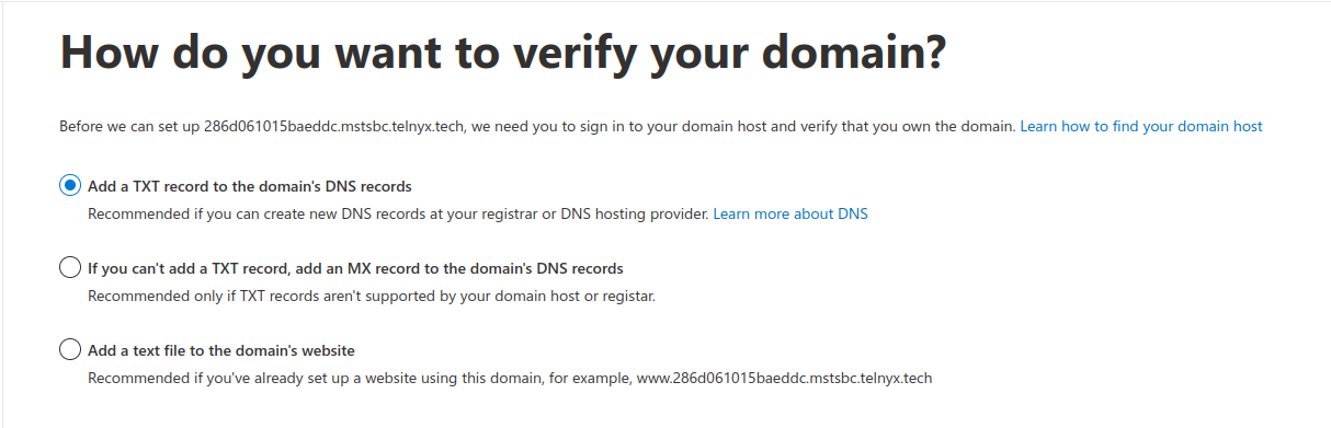 A screenshot showing a domain verification steps.