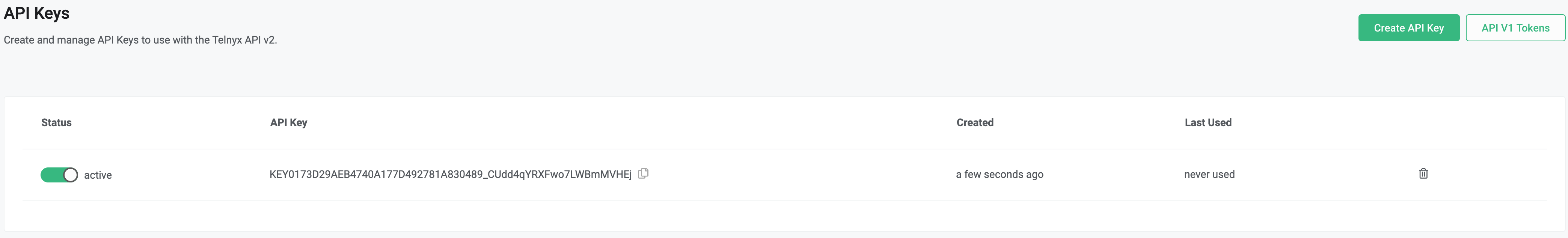 API keys options section. 