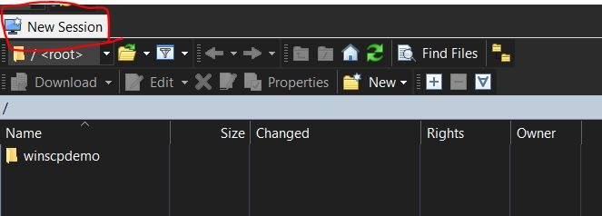 WinSCP New session button.